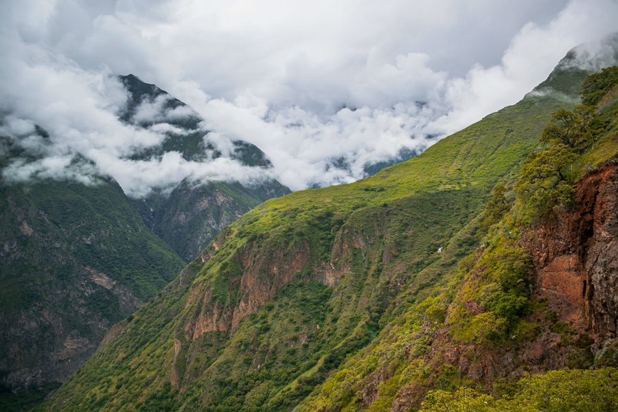 1-Bosque-de-capuliyoq-y-vista-al-cañon